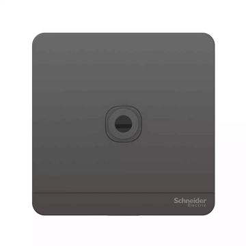 Avataron Fused Connection 25A 250V Dark Grey