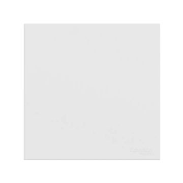 AvatarOn C Blank Plate, 1 gang, White