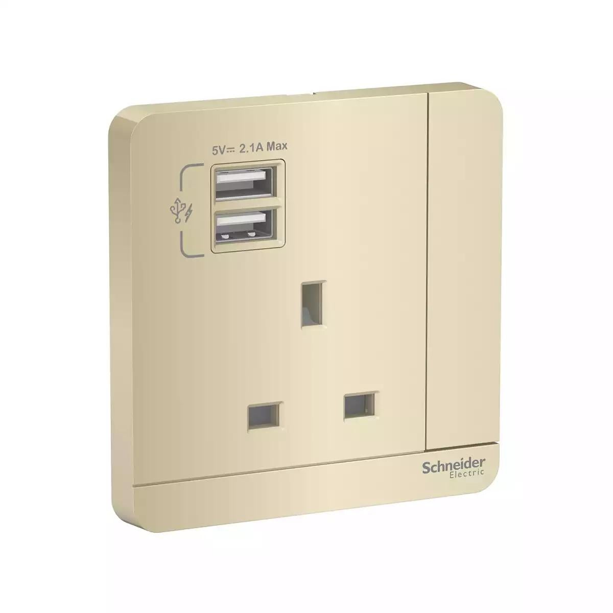 AvatarOn 2 USB Charger + Switched Socket 3P13A Wine Gold