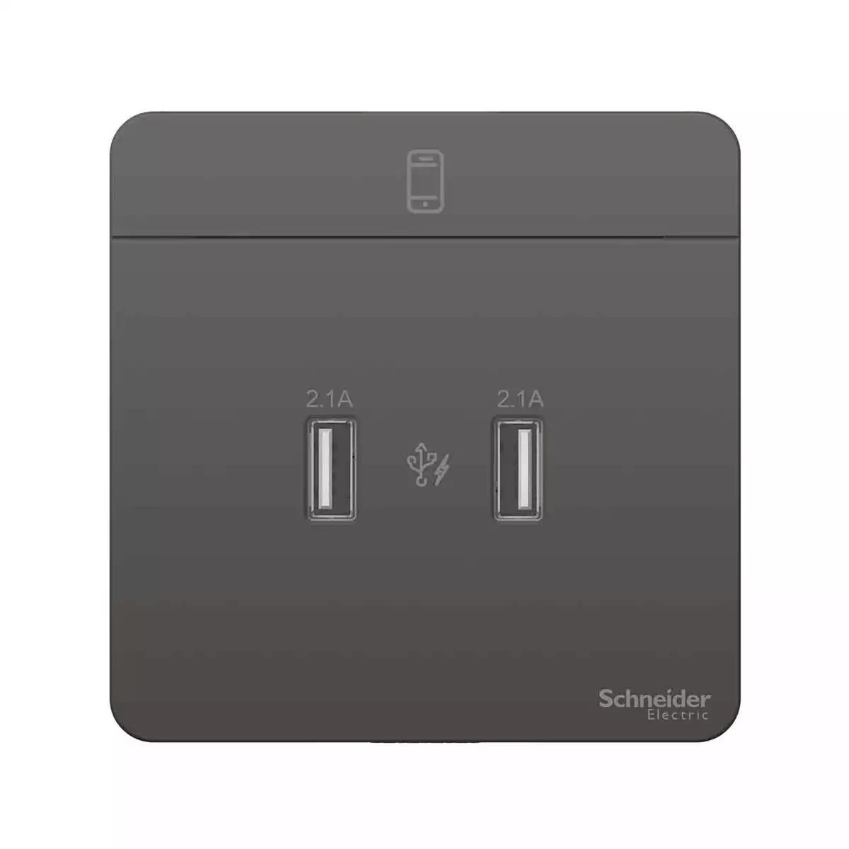Avataron USB Charger 2 Type A 2.1A Dark Grey