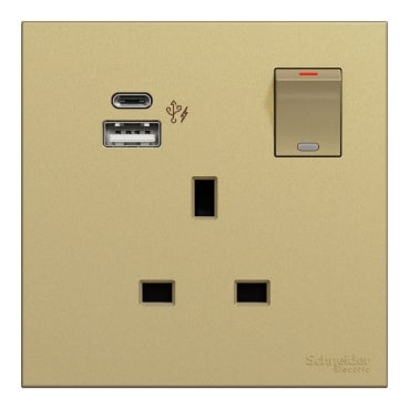 AvatarOn C 13A Double Pole Switched Socket with 2 Gang USB Fast Charger Socket Type A+C, Wine Gold