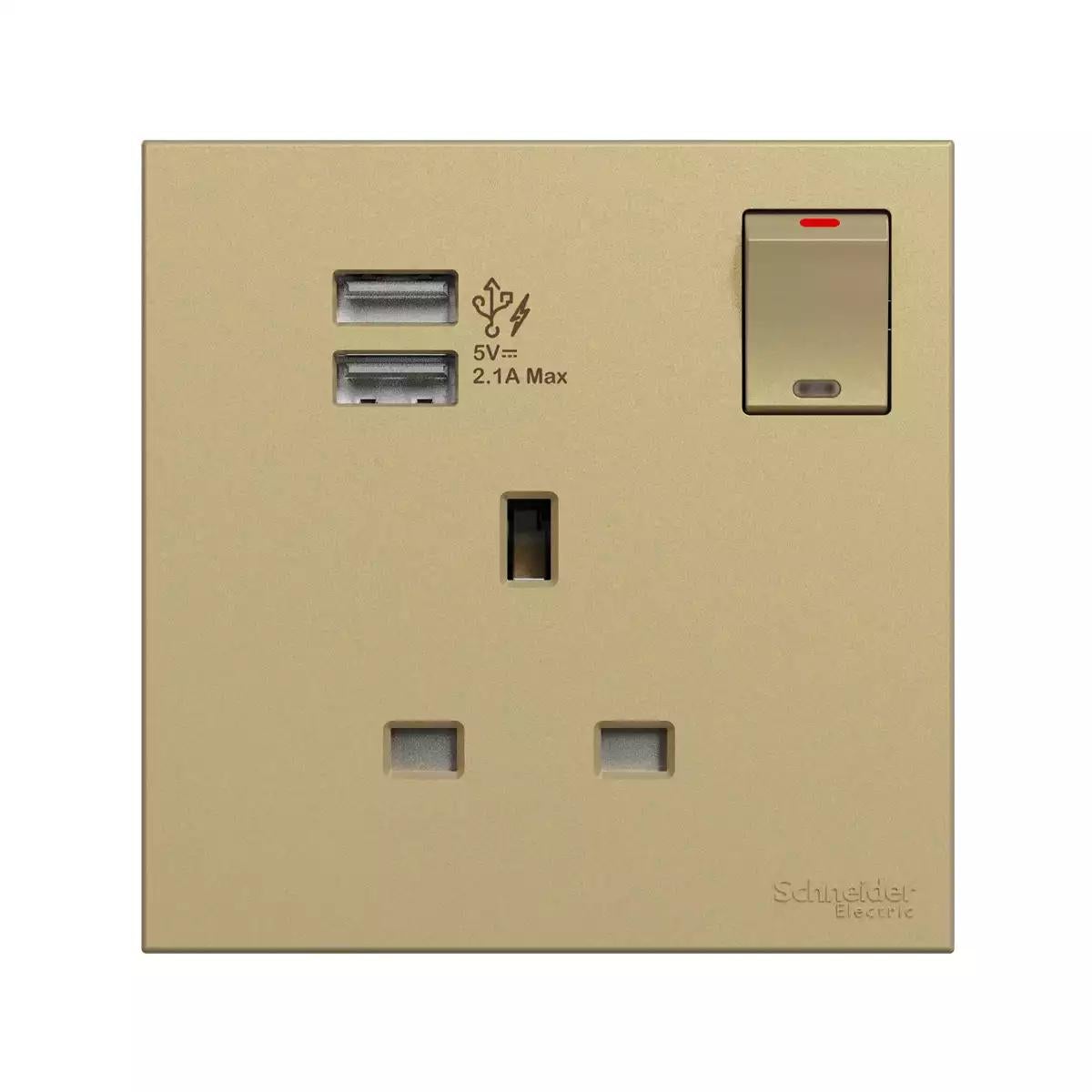 AvatarOn C Switch Socket, 13A, 1 gang, 2.1A two port USB, Wine Gold